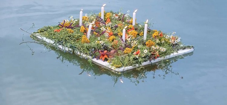 Flori magice pe apa de la Leordoaia