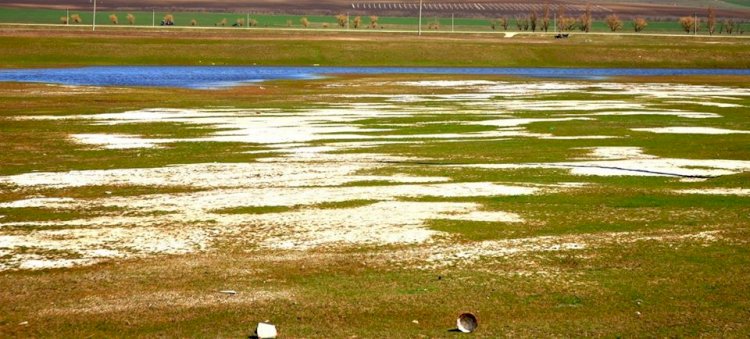 Declarația Partidului Verde Ecologist în privința irigării solurilor cu ape subterane