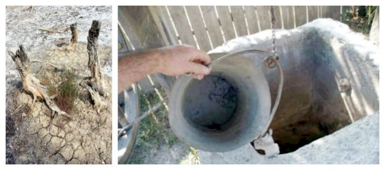 Irigarea cu apa din surse subterane: Interesele ascunse vor redeschide Cutia Pandorei