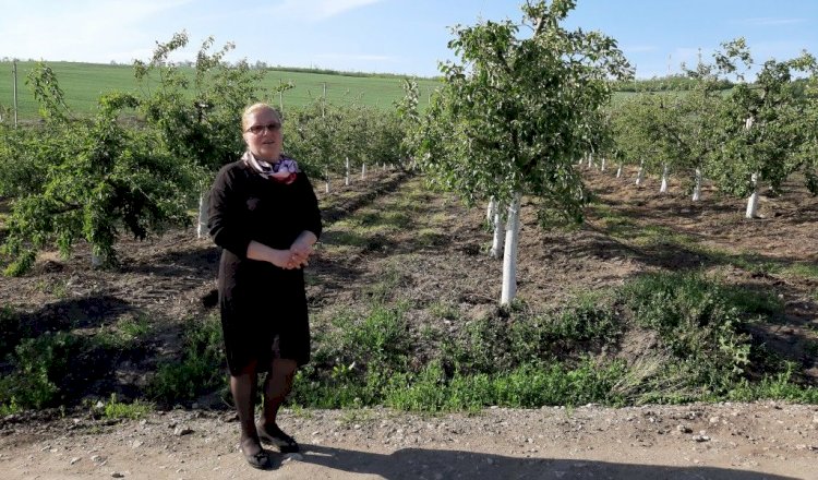 În Moldova se va deschide prima fermă eco de porci din țară