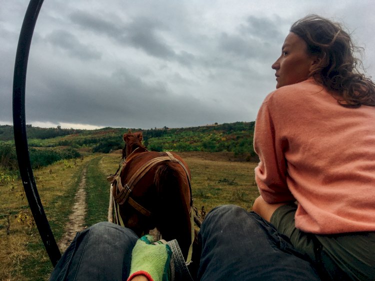 Povestea celor patru cai. O altfel de călătorie prin Moldova