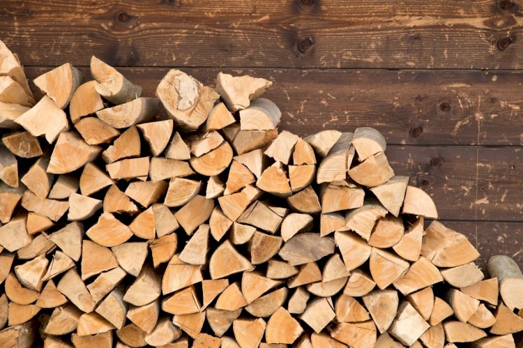 Mai multă claritate în procedura de cumpărare a lemnului de foc