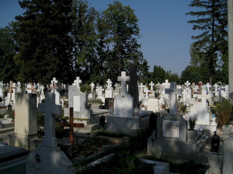 Mormintele deputaților Sfatului Țării – un subiect important de cercetare